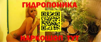 крисы Комсомольск-на-Амуре