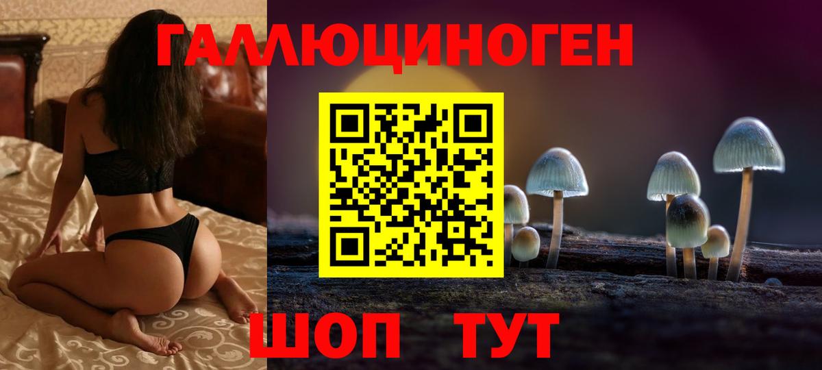 Крымск  Галлюциногенные грибы прущие грибы  Псилоцибиновые грибы мицелий  Вход с VPN 